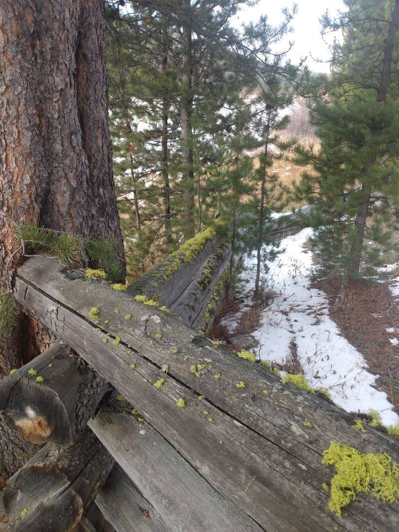 Why Locals Call It Forgettable