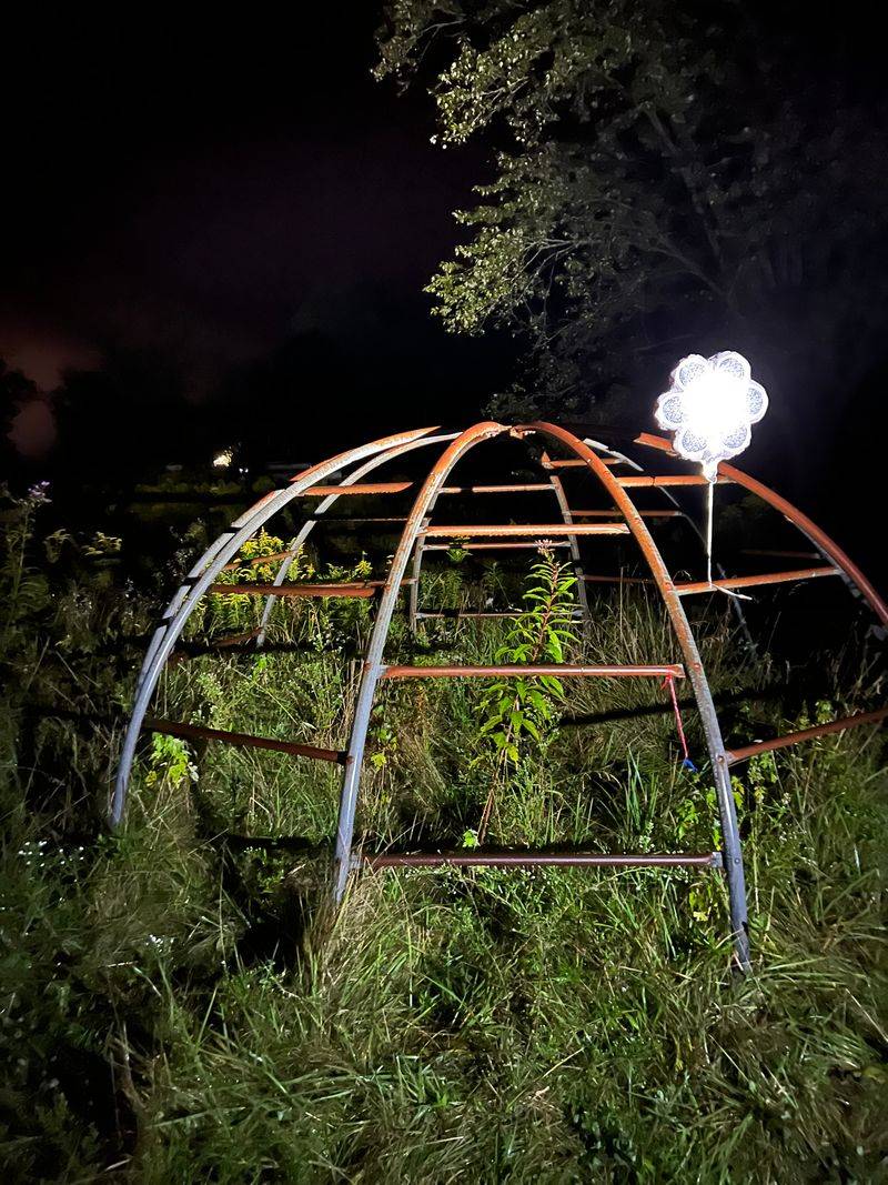 How Nature Slowly Took The Park Back