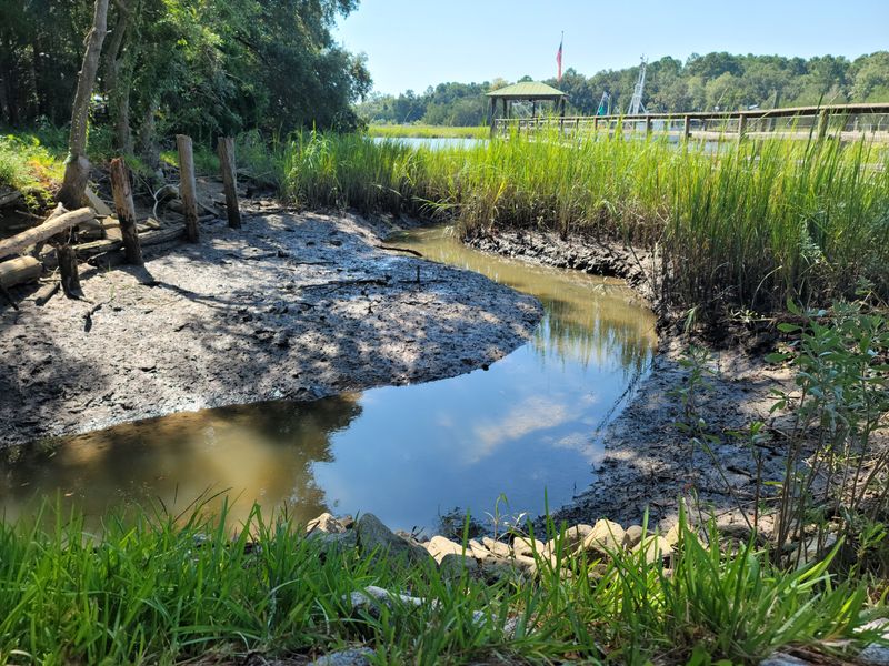 Marshland Sets The Pace