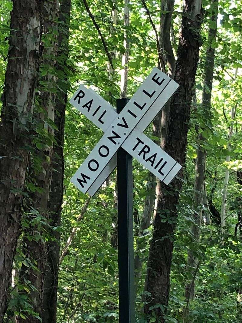 Locals Don’t Challenge Him