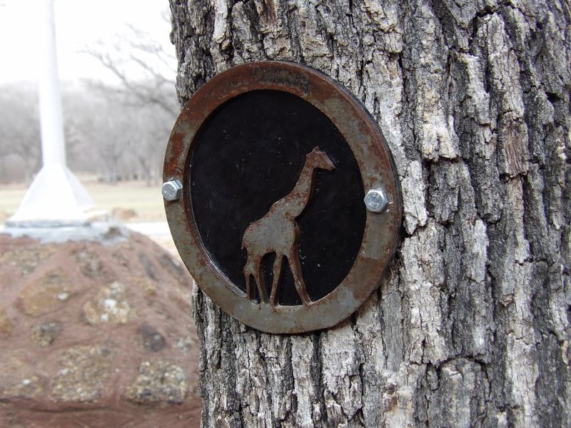 The Great Medallion Treasure Hunt