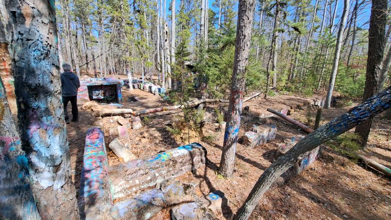 Pine Barrens Wilderness Surroundings