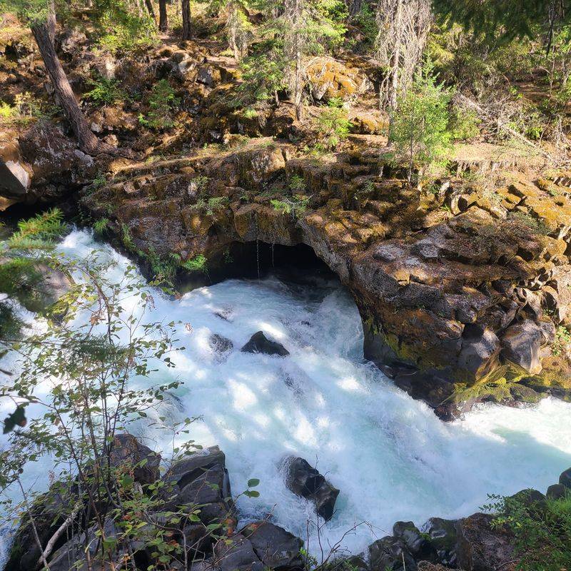 Natural Bridge Loop (Upper Rogue River)
