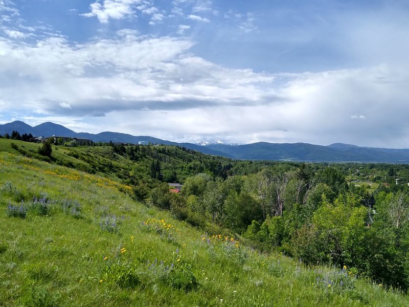 Gallatin National Forest