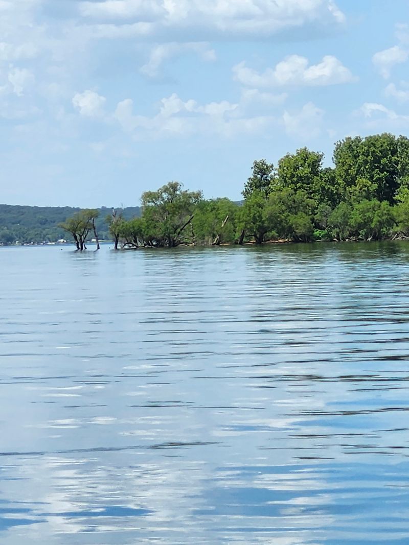 Seasonal Rhythms That Rule the Calendar