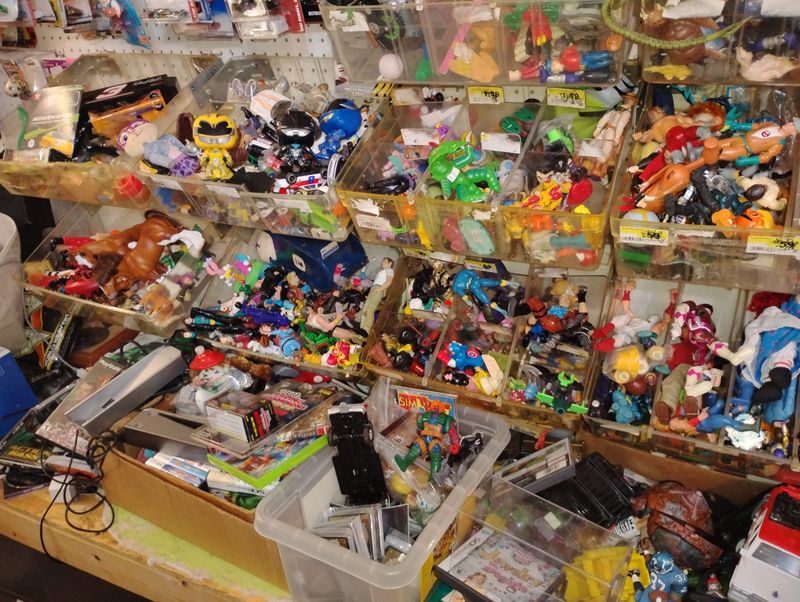 Every Visit Promises New Discoveries and Surprises