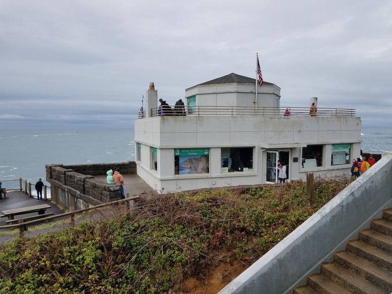 Whale Watching at Depoe Bay