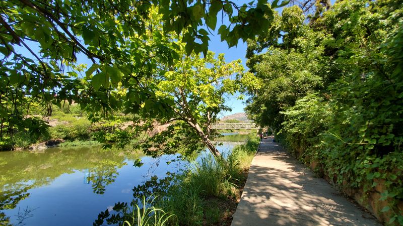 Walking Trails Along the Creek for Pre-Swim Exploration