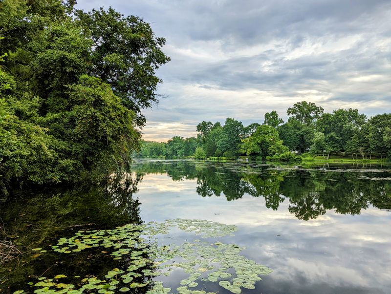 Alcyon Lake and Park Recreation
