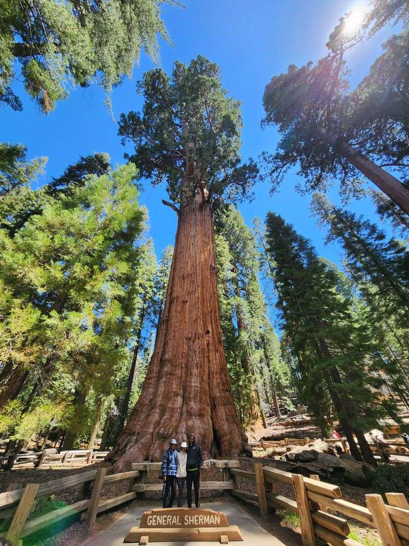 Foothills To Giant Forest And General Sherman Tree