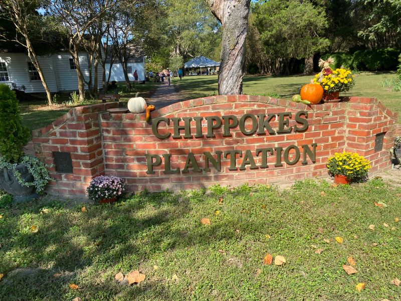 Chippokes Plantation State Park Overlook