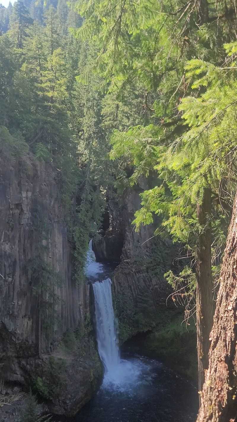 Toketee Falls