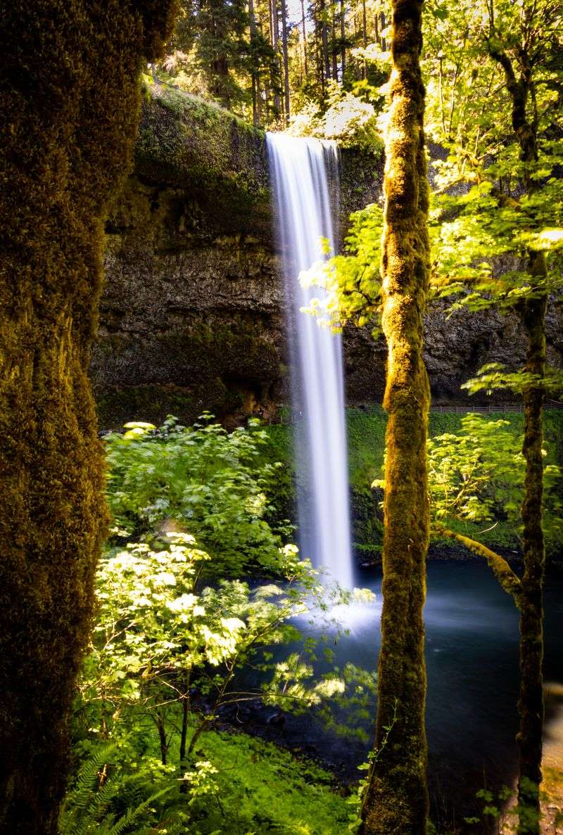 Silver Falls State Park Beyond the Main Loop