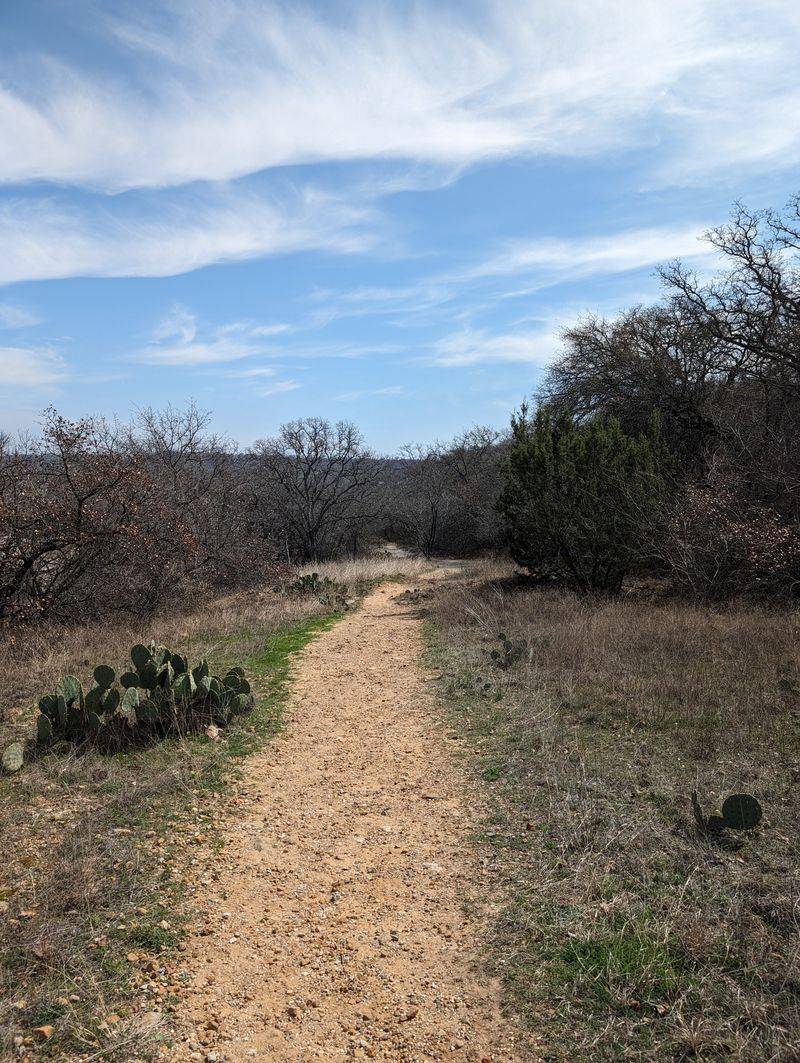 Seasonal Considerations and Best Times