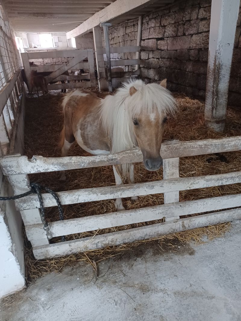 Farming Practices Shape The Physical Landscape