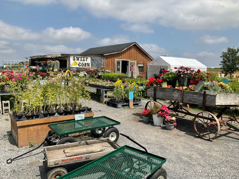 Smucker’s Farm Market – Lancaster Area