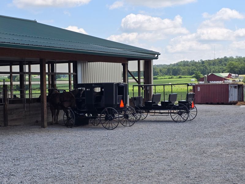 Food Is Part Of Daily Life, Not A Performance