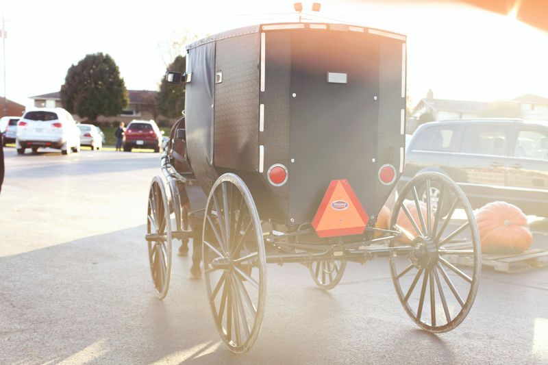 They All Ride In Horse-Drawn Buggies Only
