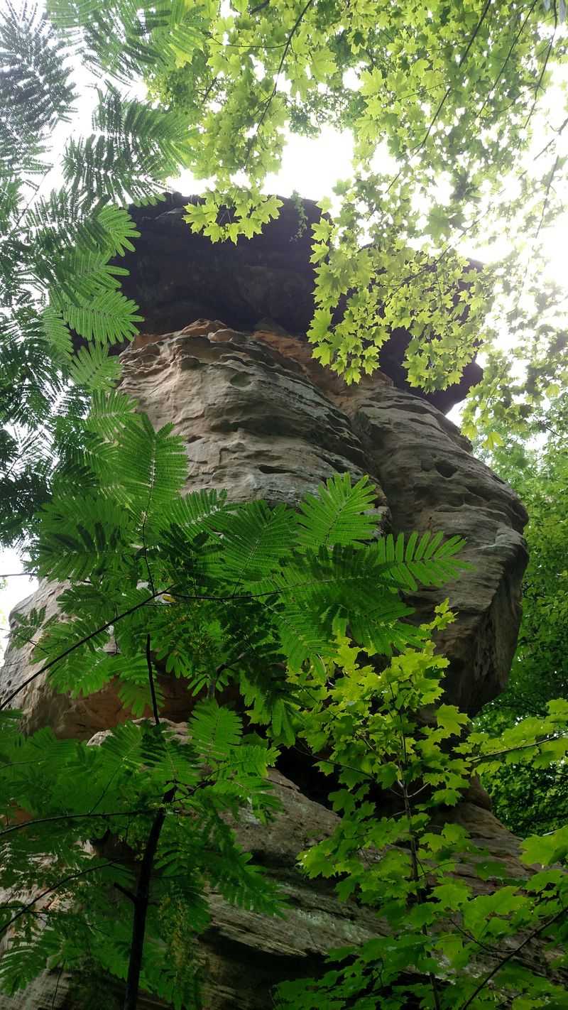 A Peaceful Escape from Digital Overload