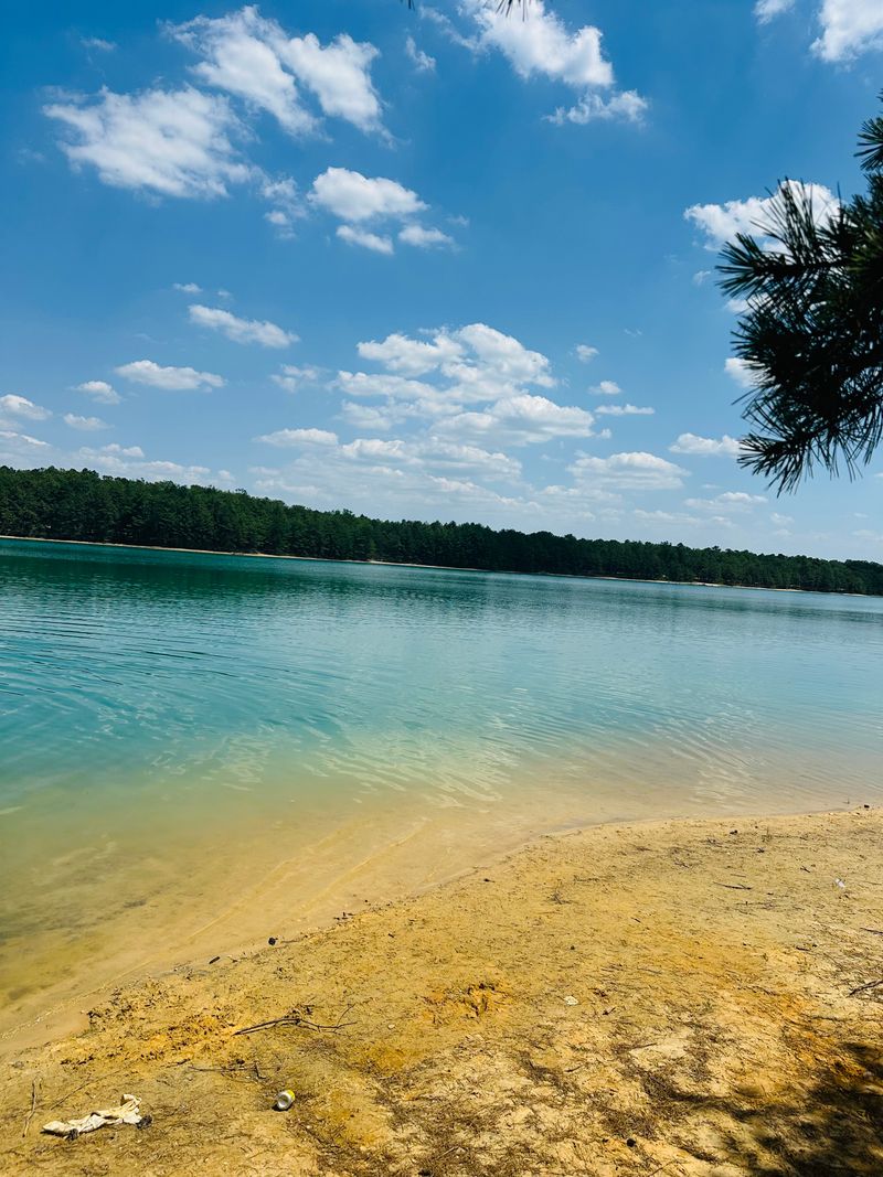 The Color-Changing Mystery That Keeps Everyone Guessing