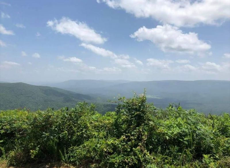 Talimena Scenic Drive Winds Through Mountain Splendor