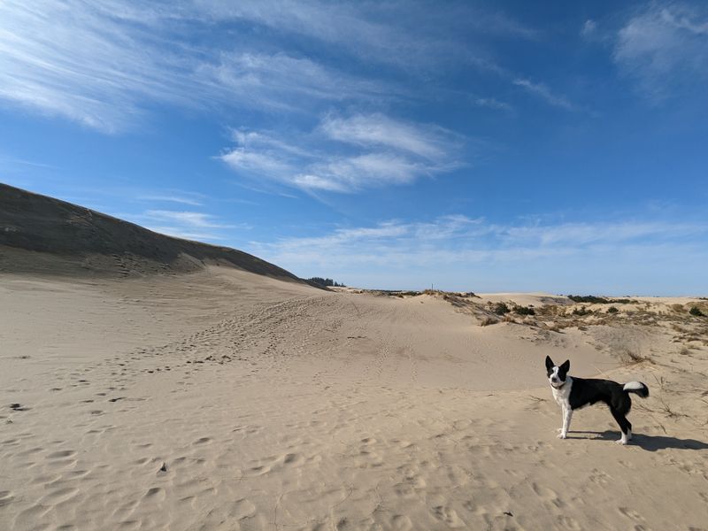 John Dellenback Dunes Trail