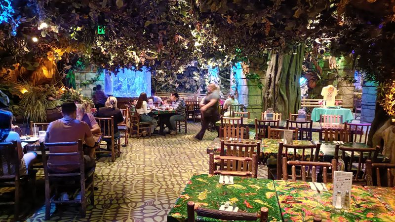 Thunderstorm Shows Create Electric Atmosphere