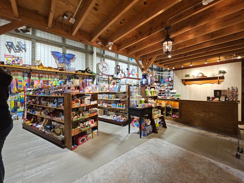 Toy Store Sparks Childhood Wonder