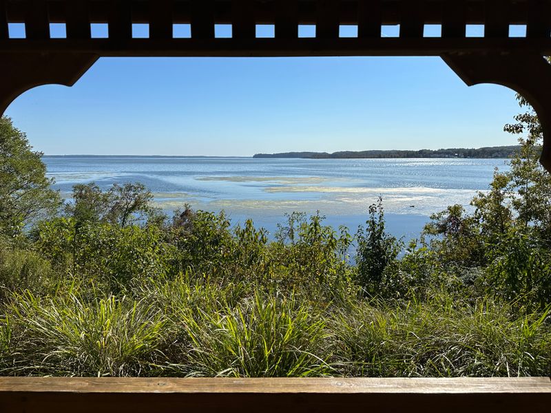 Winter Bald Eagle Gatherings at Occoquan Bay