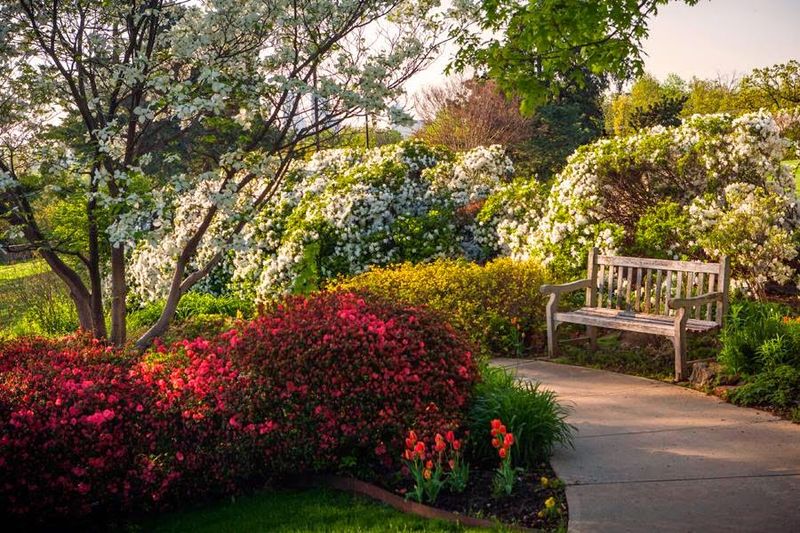Gilcrease Museum's Totem Pole Collection