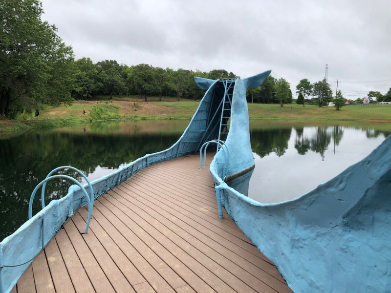 The Pond and Its Wildlife Residents