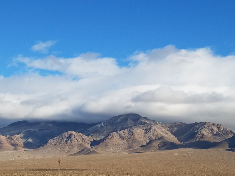Beatty Rest Area