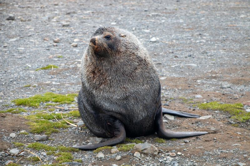 Explore the Oregon Coast Aquarium and Meet Marine Life Up Close