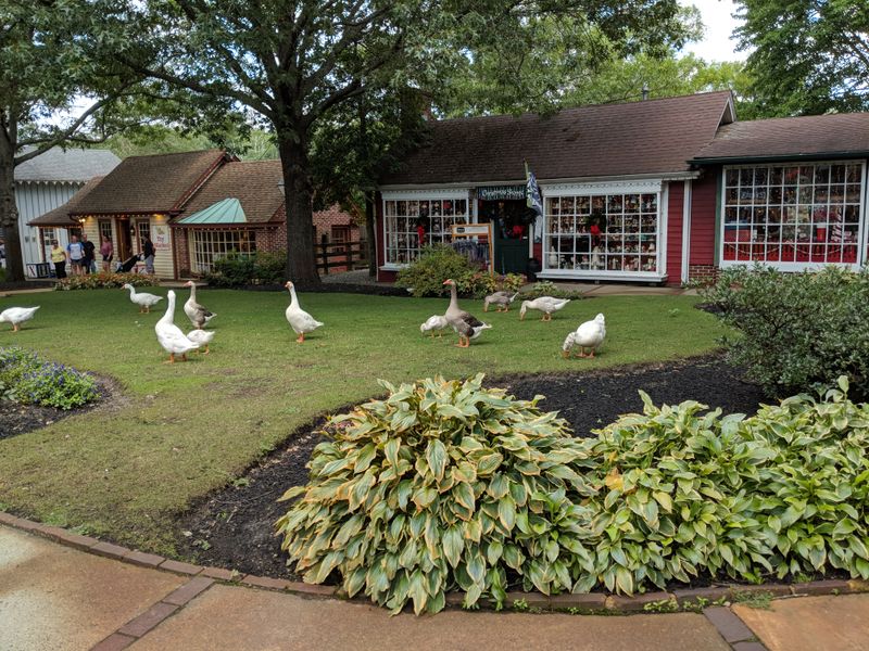 Picturesque Gardens and Landscaping Throughout the Village