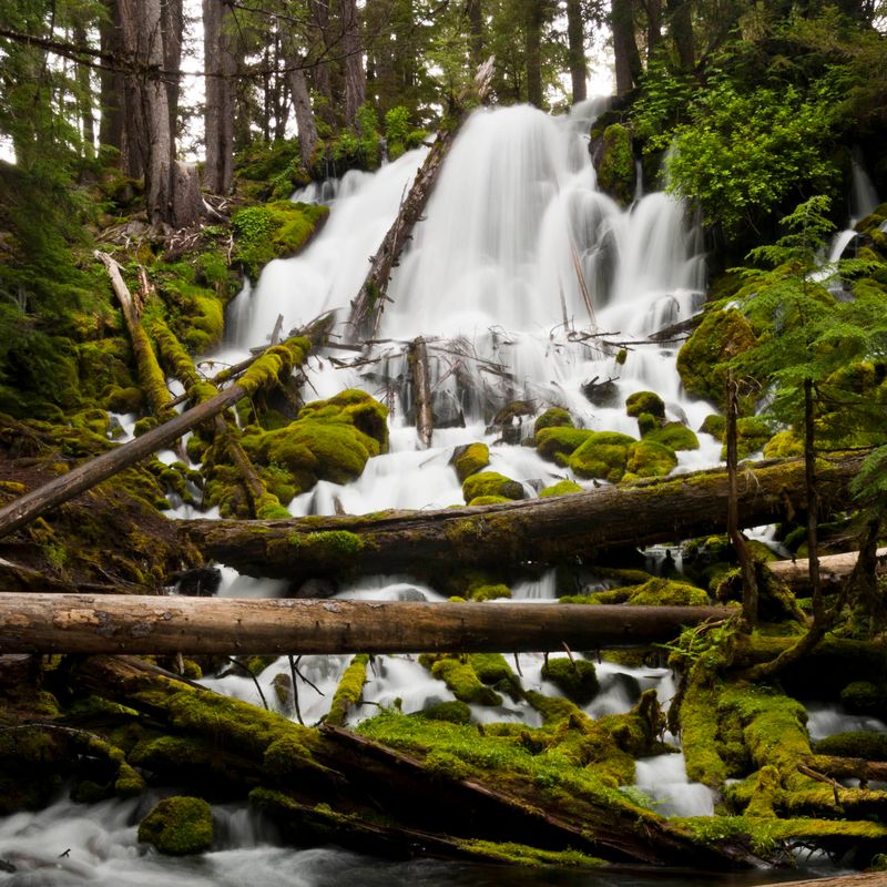 Tiller Area (Umpqua National Forest)