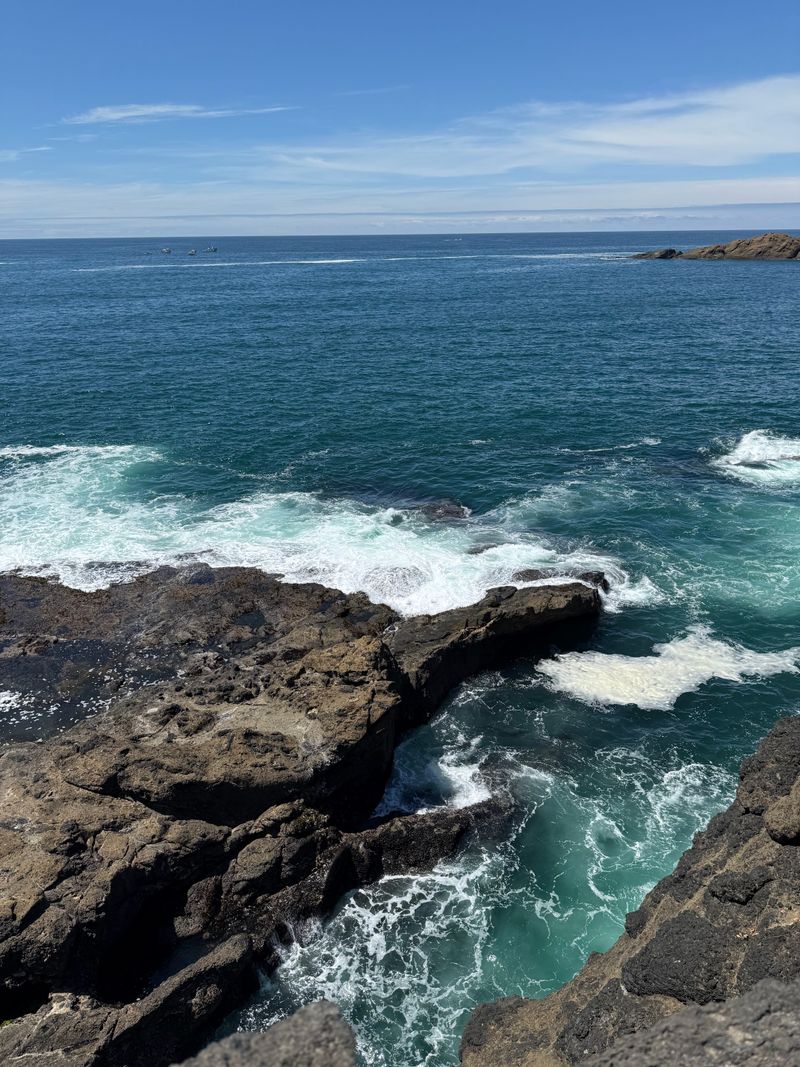 Central Oregon Coast: Whale Watching and Coastal Charm