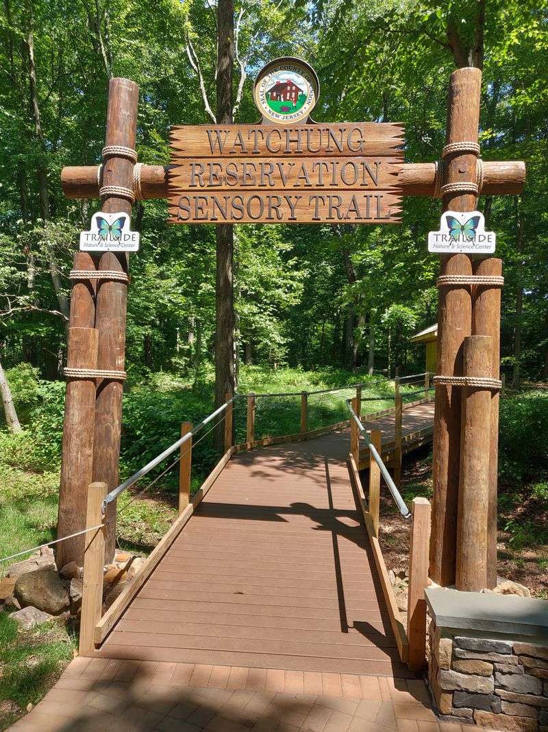 Being Shocked That Nature and Farmland Exist