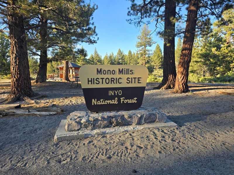 Mono Mills