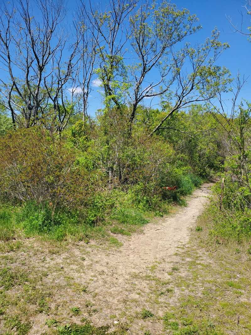 Surrounding Natural Beauty and Outdoor Access