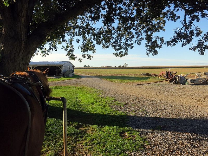 Slow Down And Match The Rhythm