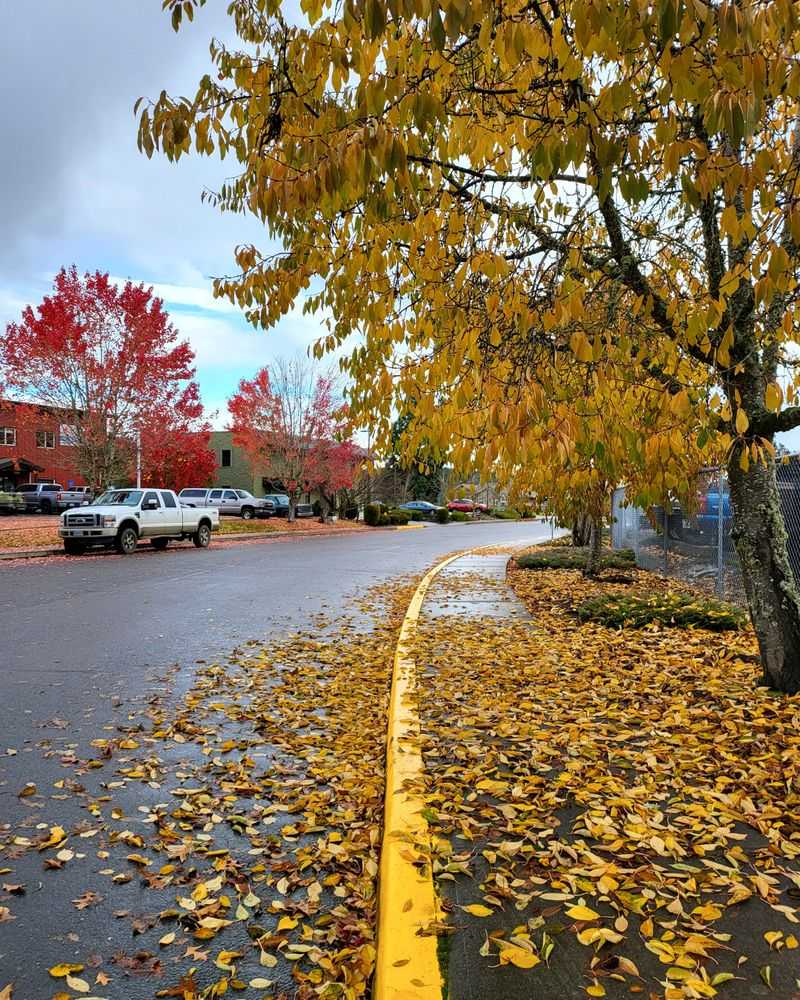 Dallas: Small-Town Oregon Living