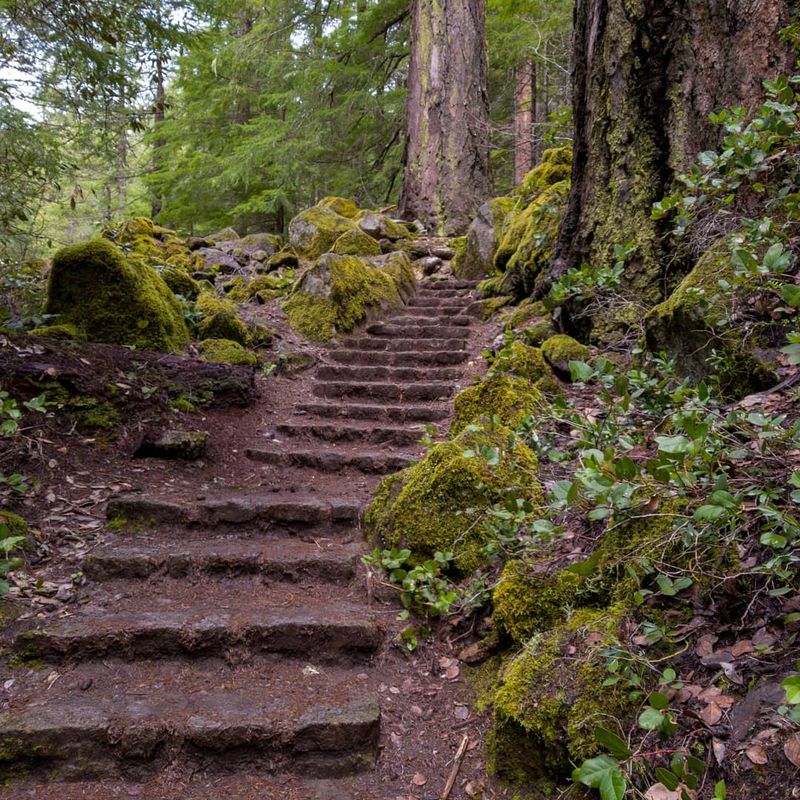 A Hike Anyone Can Handle