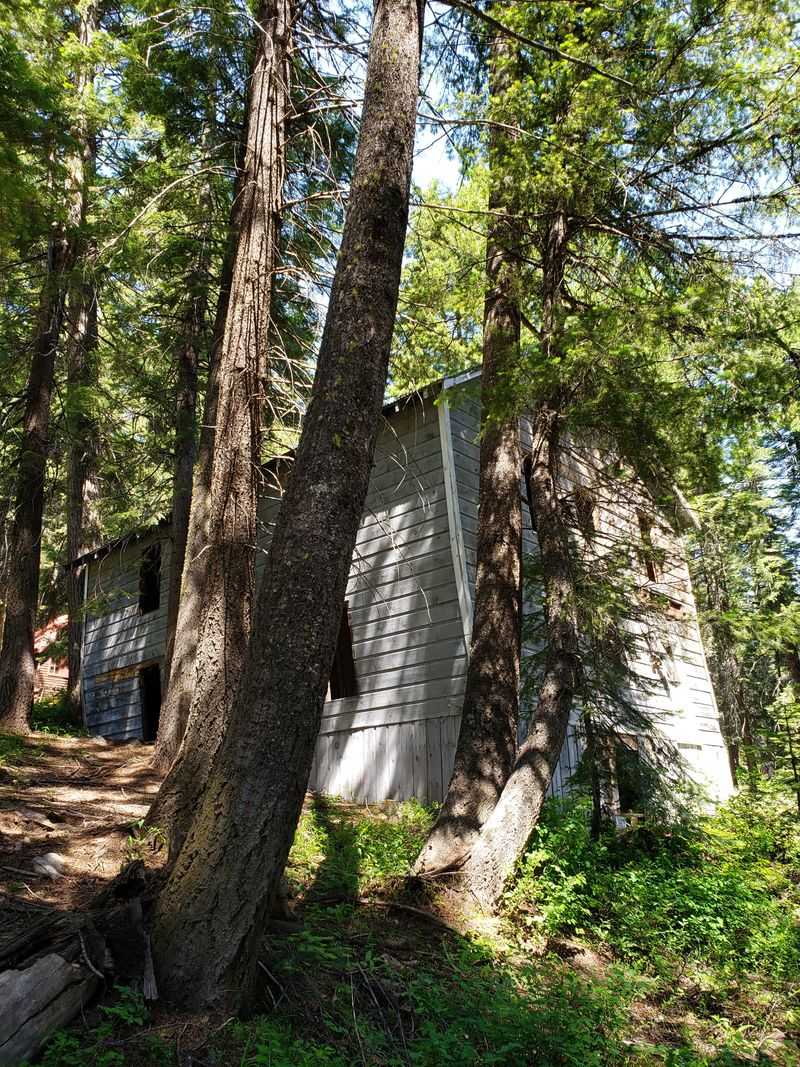 Cornucopia, Gold Country Gone Quiet