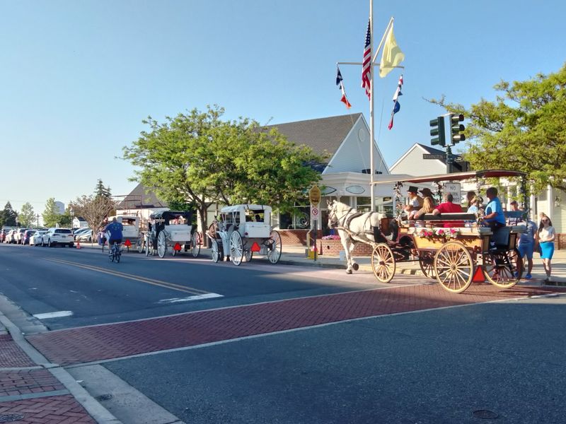 Traffic Congestion Turns Scenic Drives Into Gridlock