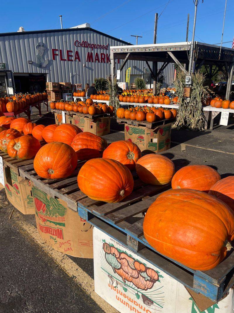 Collingwood Auction & Flea Market