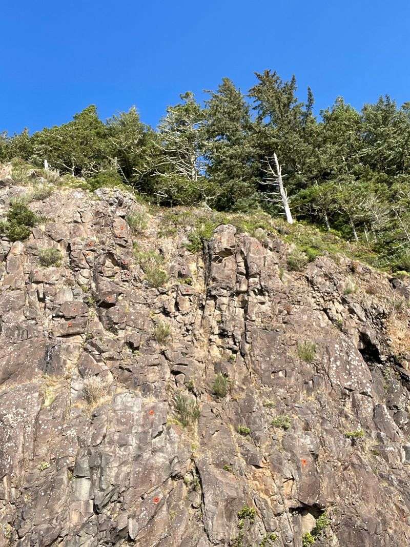 Steep Rocky Scramble to the Highest Point