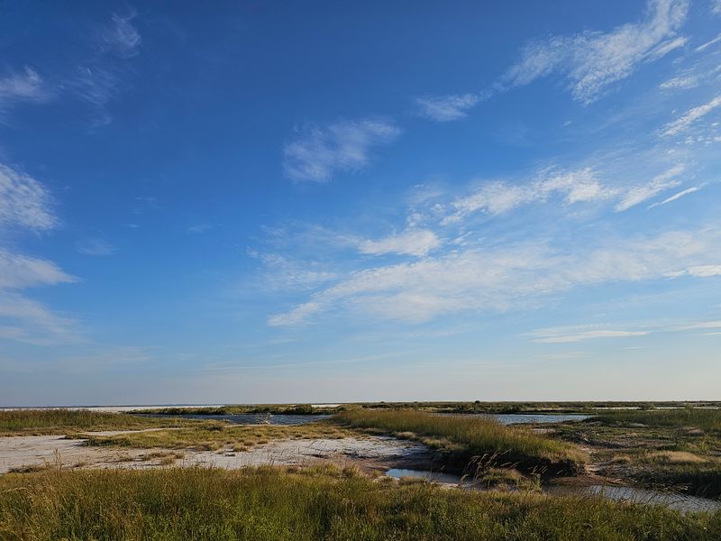 Camping Under Enormous Skies Feels Magical