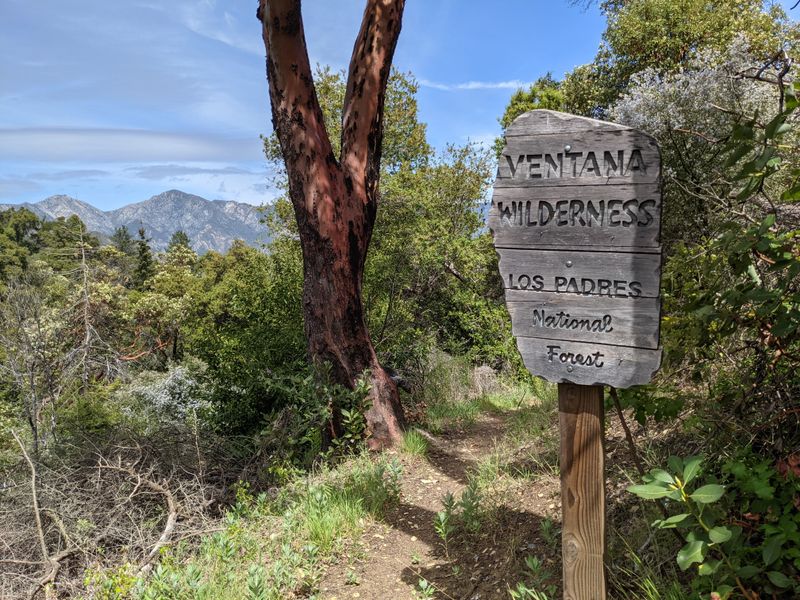 Ventana Wilderness Ridge 