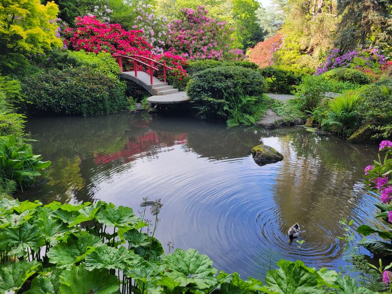 Kubota Garden