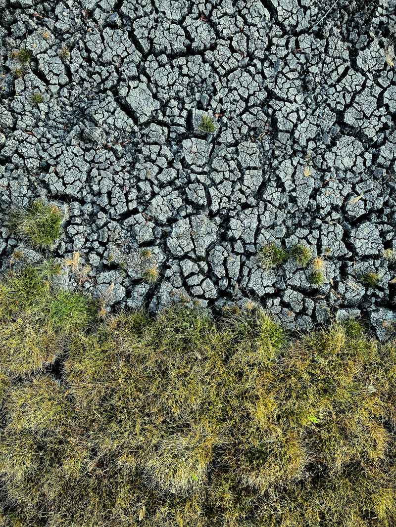 Climate Shifts Are Throwing Timing Off